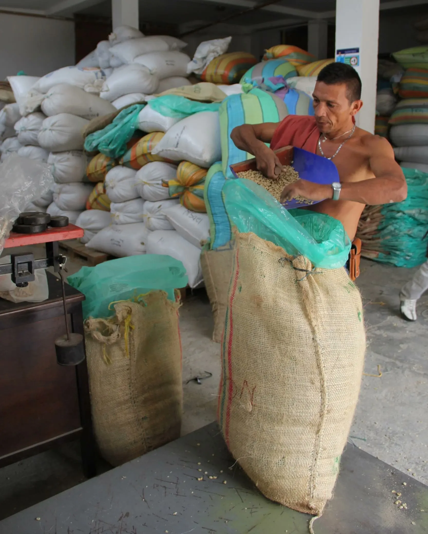 A warehouse worker in Planadas, Tolima, weighs sacks of coffee brought in by farmers for quality testing.